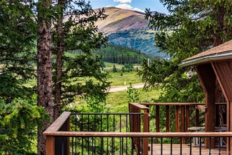 1772 County Road 4, Alma, CO 80420