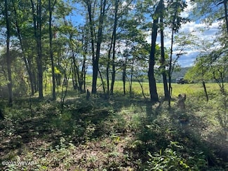 PARCEL 178.01 Windfield Dr, Loyalsock Township, PA 17701