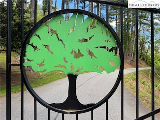 Lot 50 Fire Pink Rd, Boone, NC 28607