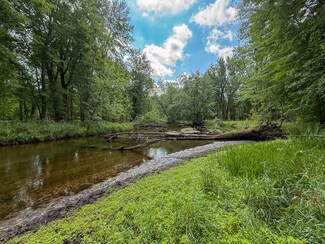 54.8 Stakes Rd, Montcalm Township, MI 49326