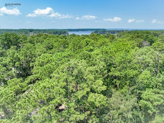 254 Senita Dr, Brookeland, TX 75931