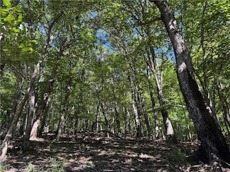 0 Moss Patch Trail Unit 7672730, Jasper, GA 30143