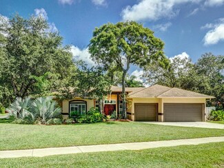 1412 Mallard Place, Palm Harbor, FL 34683