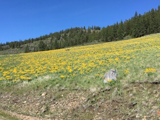 Lot 1 Diamond Ranch S, Plains, MT 59859