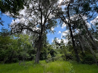 001 SE Brushy Hammock Rd, Mayo, FL 32066