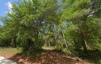333 NE 293rd Ave, Old Town, FL 32680