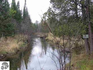 0 N Lone Wolf Trail, National City, MI 48748