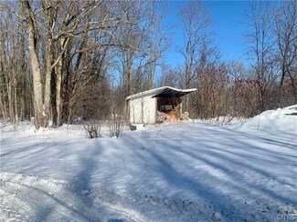 264 Canning Factory Rd, Pulaski, NY 13142