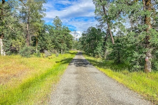 0 Donkey Mine Rd Unit 225061905, Oak Run, CA 96069