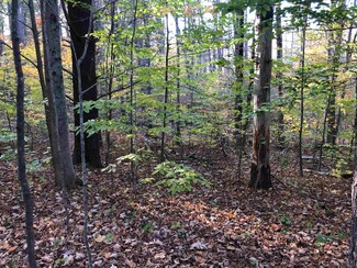 32/2-1 New Hampshire 119, Fitzwilliam, NH 03447
