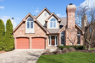 1407 Belleau Woods Ct, Wheaton, IL 60189