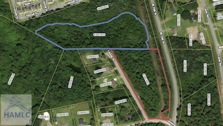 8.67 AC W 15th St, Hinesville, GA 31313