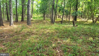 10028 N School Rd, Deal Island, MD 21821