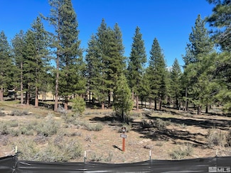 3562 Knob Point Trail, Carson City, NV 89705