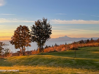 67737 Walter Thomas Rd, Homer, AK 99603
