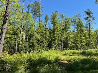 Lot 045 Sawyer Notch Rd, Andover, ME 04216