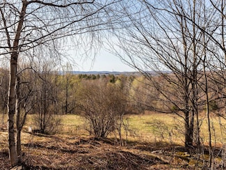 1 Snow Hill Rd, Liberty, NY 12768