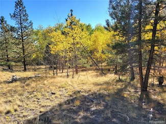 #2 County Road 12, Florissant, CO 80816