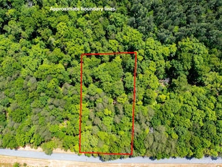 LOT 2009 Deep Gap Farm Rd E, Mill Spring, NC 28756