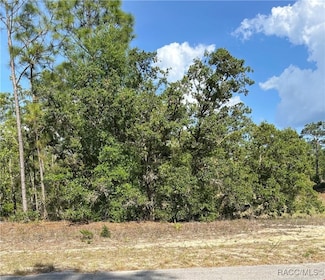 9857 N Lathyrus Terrace, Citrus Springs, FL 34433