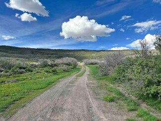 25137 Starner Loop Rd, Cedaredge, CO 81413