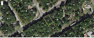 862 W Abner Place, Citrus Springs, FL 34434