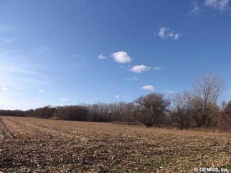 Lot D W Muck Rd, Elba, NY 14058