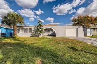 3614 Landale Dr, Holiday, FL 34691
