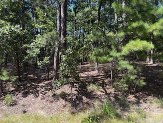 3 Bajista Ln, Hot Springs Village, AR 71909