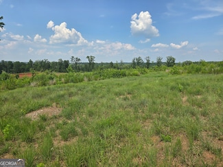 0 Faulkner Rd Unit LOT 8 10469544, Monticello, GA 31064
