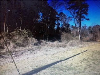 0 Woodland Rd Unit 168469, Tuscaloosa, AL 35405
