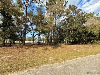 151 W Reef Ln, Citrus Springs, FL 34434