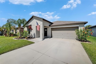 5043 White Chicory Dr, Apollo Beach, FL 33572