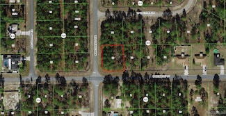 1273 W Newbury St, Citrus Springs, FL 34434