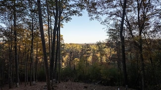 155 Rhondas Way, Ellijay, GA 30540