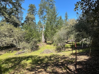 000 Hidden Glen Dr, Scotts Valley, CA 95066