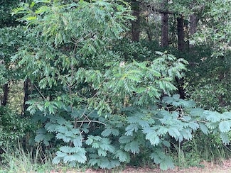 0 Jessamine Ct, Mobile, AL 36618