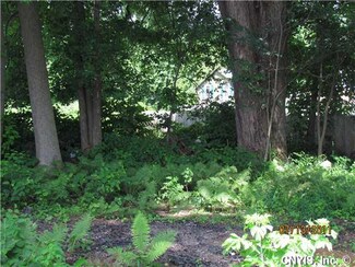 0 New York 49, Bernhards Bay, NY 13028