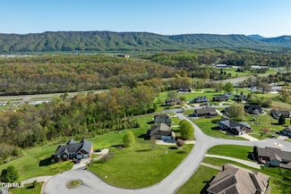 307 Carrie Cir, Mount Carmel, TN 37645