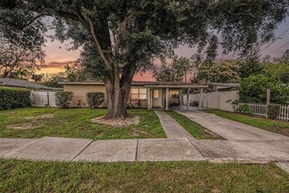 2529 N Habana Place, Tampa, FL 33618
