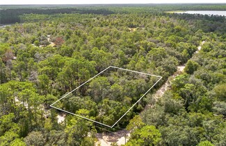 0 SE 92nd Place, Ocklawaha, FL 32179