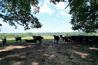5 N Lick Creek Rd, Franklin, TN 37064