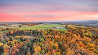 0 Salmon Creek Rd, Lansing, NY 14882