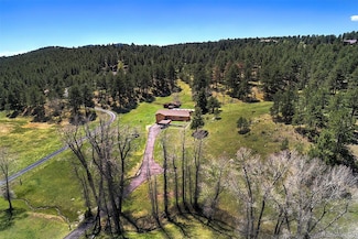 1971 Kerr Gulch Rd, Evergreen, CO 80439