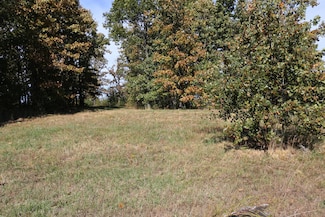 000 Wild Turkey Trail Unit Block 1 Lot 6, West Plains, MO 65775