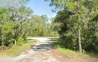 0 Malauka Loop Trace, Ocklawaha, FL 32179