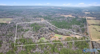 8355 Duck Springs Rd, Attalla, AL 35954