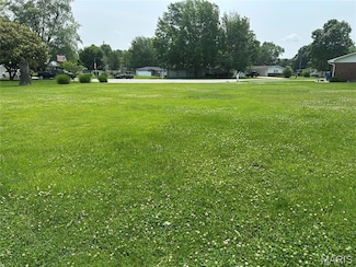 1111 Norwood Dr, Sparta, IL 62286