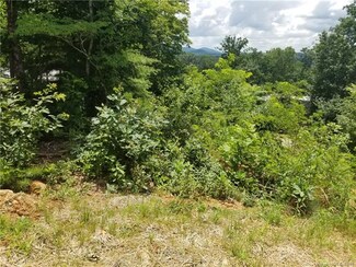9 Samuel Ashe Dr Unit 48A, Asheville, NC 28805
