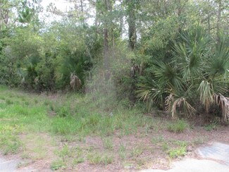 3219 NW 33rd Ave, Okeechobee, FL 34972